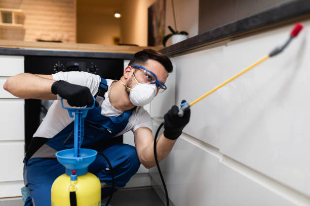 Live Oak, TX Pest Control Company