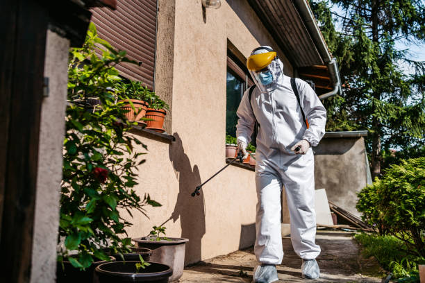 Best Pest Prevention Services  in Live Oak, TX