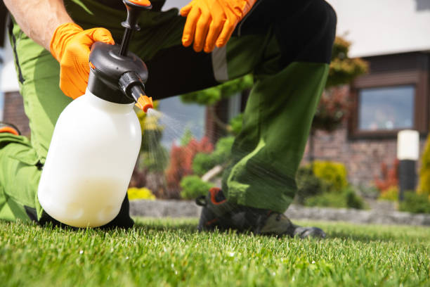 Best Exterminator Services  in Live Oak, TX