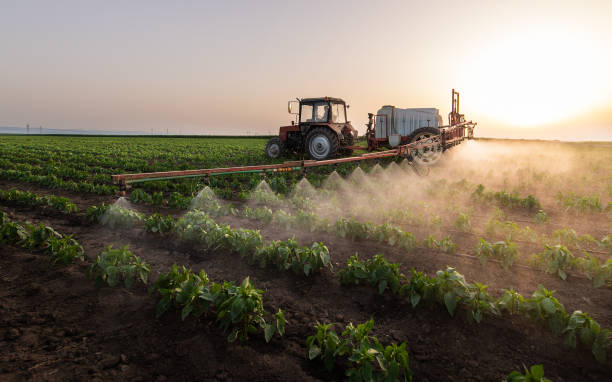 Best Pest Control Treatment  in Live Oak, TX