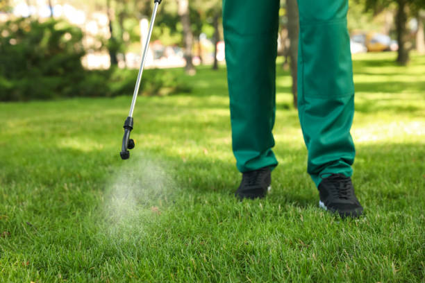 Best Termite Control Services  in Live Oak, TX