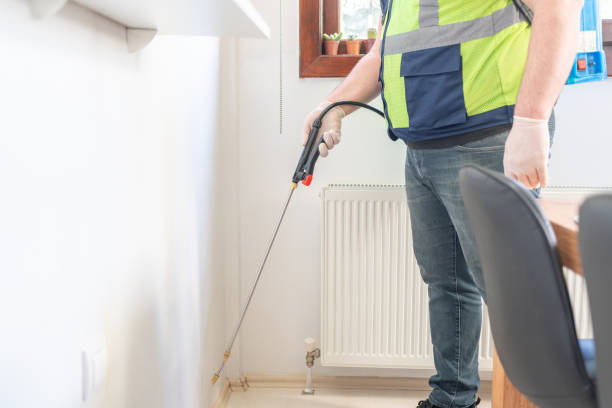 Best Affordable Pest Control Services  in Live Oak, TX